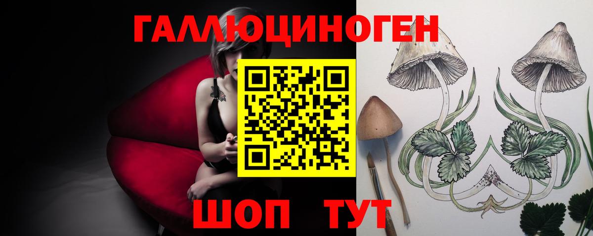 Псилоцибиновые грибы Cubensis  Вход с VPN  Рубцовск 